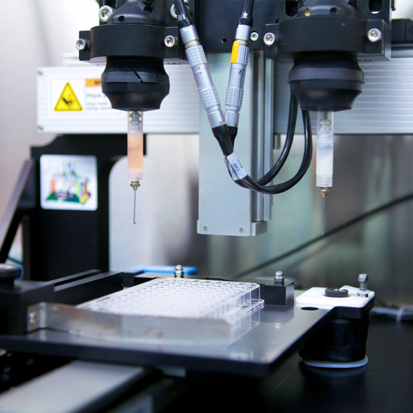 Teste de estabilidade